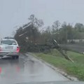 Vozači, oprez: Na putevima u Sremu i Bačkoj pazite na granje od nevremena