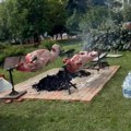 Đukanović o propalom skupu šačice blokadera u Loznici: "Lepo je što ste okretali prasiće, jaganjce, ali danas je petak -…