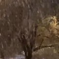 Pada sneg u Beogradu! Zabelela se prestonica (video)