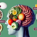 Neuronaučnica otkrila koja je najbolja hrana za mozak: Smanjuje i rizik od Alchajmera