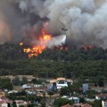 Uhapšena gruzijka u Grčkoj: Zbog nje su izbili šumski požari na Hiosu?