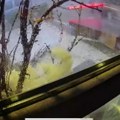 (Video): Pogledajte šta je jako nevreme napravilo u Velikom Gradištu: Olujni vetar odneo tendu i uništio lokal, kamere sve…