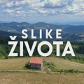 Slike života: Dan jedan više nego vredan