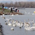 Hidrolog Vladiković: Voda kod Kule Nebojše se povukla, ali sledi novi talas rasta vodostaja