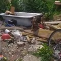 Vlasnica azila prijavila uginuće 108 pasa, 25 umrlo zbog nedostatka hrane i vode Pomor životinja u Velikom Gradištu