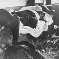 Jasenovac, vidovdanski ispit časti: Skupština Crne Gore trebalo bi da raspravlja o dokumentu kojim se osuđuje genocid