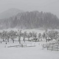 U kosanici izmereno -28,5 Celzijusa: Zima ponovo stigla na sever Crne Gore