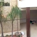 Prve slike ubistva Srba u južnoj Americi: Zbog trostruke likvidacije uhapšene 4 osobe: Na telima pronađeni tragovi mučenja, na…