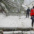 Još osam sela u Ivanjici bez struje, sve raspoložive ekipe na terenu: Mokar i težak sneg napravio veliku štetu