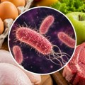 Salmonela se krije i u namirnicama koje deluju potpuno sveže: Ovo su prvi simptomi trovanja