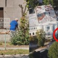 Okretali prase na ražnju ispred muzeja, a ljudi gledaju prizor u neverici: Zaposleni kažu da porodica domara godinama uzurpira…