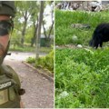 Stradao od udara drona dok je evakuisao životinje: Kanadski volonter ubijen tokom akcije u Kramatorsku