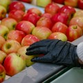 "Velika šansa nam je i u izvozu suvog i smrznutog voća" Stručnjaci složni u oceni da je sporazum sa Kinom o slobodnoj…