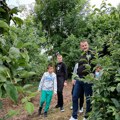 Porodica Novaković iz sela Latvica već dva veka uspešno se bavi proizvodnjom voća i rakije