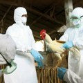 Smrtonosan virus pronađen na farmi! Stručnjaci izdali hitno upozorenje: Na udaru je ova grupa životinja