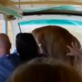 Zastrašujući trenutak na safariju Divlja zver uskočila turistima u auto, umesto da napadne uradila je nešto neverovatno…