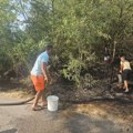 Ogroman požar u Koštunićima - izgorelo 20 hektara šume i niskog rastinja, zapretio da zahvati kuće