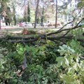 Uređuju grad posle nevremena