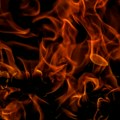 Požar na OPG-u kod Grubišnog Polja: Izgorjele krave, ovce, svinje...