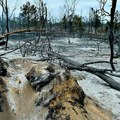 Napad, napad i napad! Pukovnik iz Srpsko-ruskog centra opisuje strašnu borbu protiv vatrene stihije