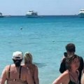 Drama na plaži u Hurgadi: Turista iz Srbije snimio morsku neman, ljudi panično izašli iz vode