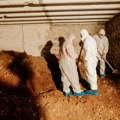 Podgoričanin uhapšen zbog kopanja tunela do Višeg suda: Pomagao četvorici Srba
