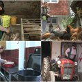 Neplaćeni kućni rad žena postaje priznat: Srbija donela novi pravilnik - evo kako će da se vrednuje i računa