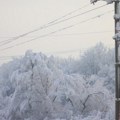 (Foto) dalekovodi pod snegom, provodnici pokidani: Hitno se oglasila Elektrodistribucija Srbije: 50.000 domaćinstava bez…