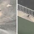 Deo fasade se obrušio i pao na mesto gde večeras ljudi treba da se okupe u Halidovu čast u Sarajevu