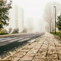 Danas magla u većem delu Srbije, temperatura do 10 stepeni
