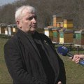 Neizvestan opstanak pčelarstva: Proizvođači se žale na sve teže uslove rada, problemi kulminirali tokom jeseni