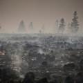 Jedan od najvećih šumskih požara do sada u Belgiji