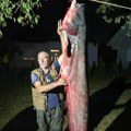Na jezeru Ćelije ulovio soma od 74 KG i dužine od 2,2 metra Milutin Pantelić Panta sa Begovog Brda, kod Kruševca, ostvario…