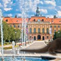 Retka zverka napravila pometnju u somboru u hvatanju na glavnoj ulici učestovali vatrogasci, pogledajte kako je izgledala…