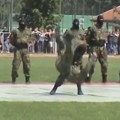 (Видео) Наши најбољи специјалци раме уз раме са елитним јединицама из целог света: Припадници САЈ-а и Жандармерије на…