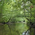 Urbanizacija ili zaštita: Klisura Đetinje na meti građevinaca (foto)