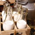 Prekinut rast proizvodnje mleka u EU