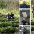 Jagma za jedinstvenim lekovitim kapsulama koje prave Nikolići: Dejanu ova biljka spasila život, prvo od bolesti pa i kad je…