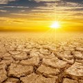 Studija: Više od 3.500 životinjskih vrsta ugroženo klimatskim promenama