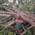 Kragujevac sanira posledice nevremena: Ekipe JKP „Šumadija“ i danas na terenu