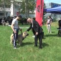 Kragujevac okupio ljubitelje šarplaninaca iz regiona
