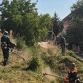 Nastavljeno suzbijanje ambrozije na javnim zelenim površinama u Kragujevcu