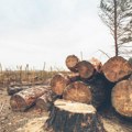 Srbija za 5 godina ostala bez čak 48,2% šuma! Obradivih površina manje za 23%, mnoge parcele pretvorene u građevinsko…