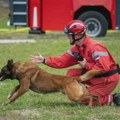„Najveća katastrofa kojoj smo svedočili, pas Zigi je tih dana zasluženo izrastao u junaka“: Spasilac Mili Radojević…
