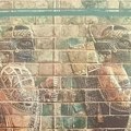 Iran – drevna civilizacija između modernih predrasuda i hiljadu i jedne noći