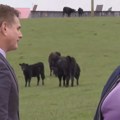 Nema tih para: Majka i ćerka odbile životnu priliku kad su saznale šta žele da izgrade na njihovoj dedovini! "Ne želim vaš…