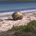 (VIDEO) MISTERIOZNI PREDMET pronađen na obali Indijskog okeana u Australiji