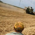Rusija smanjuje izvoz hrane u „neprijateljske“ zemlje