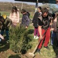 Akcija ozelenjavanja dvorišta OŠ „Nikola Skobaljić“ u Gornjoj Jajini