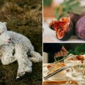 Evo zašto su jagnje i hleb simboli Uskrsa Grožđe, smokve, čičak i trnje su simboli dobrih i zlih ljudi